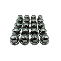 Dragonslock Moeren - Moeren Set Ford Ka + / Ka Active vanaf 10/2016 - Verzinkt - 20 st.