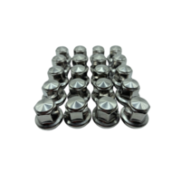 Dragonslock Moeren - Moeren Set Land Rover Range Rover Evoque vanaf 10/2011 - 20 st.- M14x1,5 - Draadlengte 26mm - Hex 21