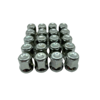 Dragonslock Moeren - Moeren Set Ford Fiesta Active vanaf 01/2014 - Verzinkt - 20 st.- M12x1,5 - Draadlengte 27mm - Hex 18