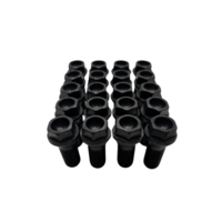 Dragonslock Bouten - Bouten Set Mini Coooper / Cooper SE - Verzinkt - 20 st.- M14x1,25 - Draadlengte 28mm - Hex 17