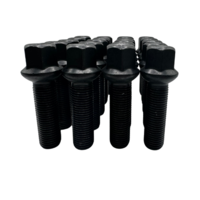 Dragonslock Bouten - Bouten Set Mercedes CLS 2011-2017 - Zwart Verzinkt - 20 st.