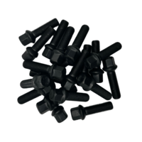 Dragonslock Bouten - Bouten Set Mercedes CL-Class - Zwart Verzinkt - 20 st.