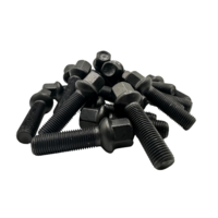 Dragonslock Bouten - Bouten Set Mercedes CL-Class - Zwart Verzinkt - 20 st.