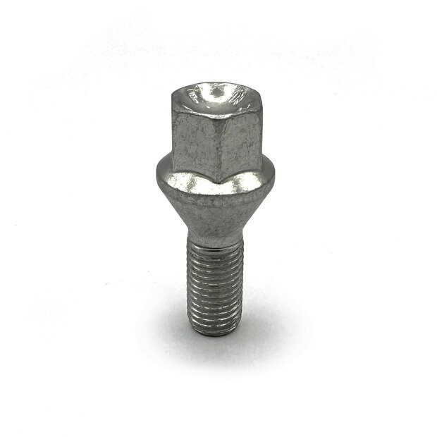 Dragonslock Bouten - Bouten Set Seat Ibiza - Verzinkt - 20 st.